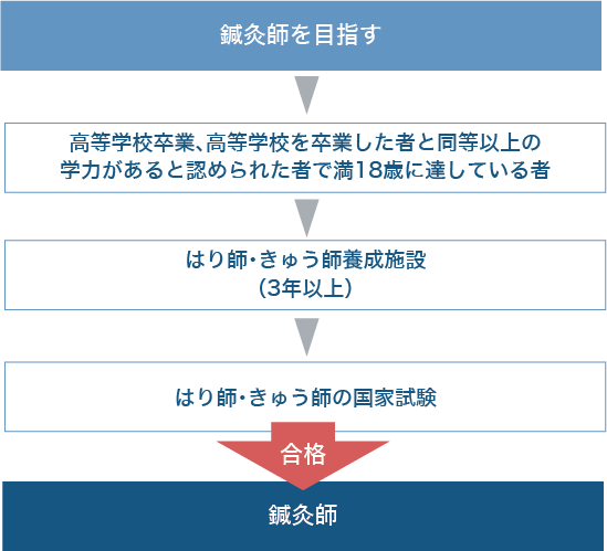 図：鍼灸院の先生を目指す